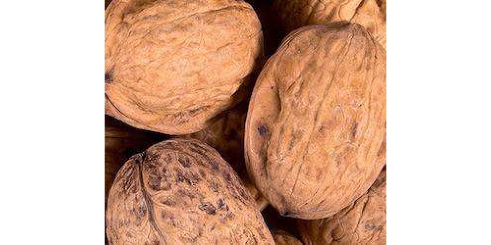 Acht redenen waarom walnoten gezond zijn!