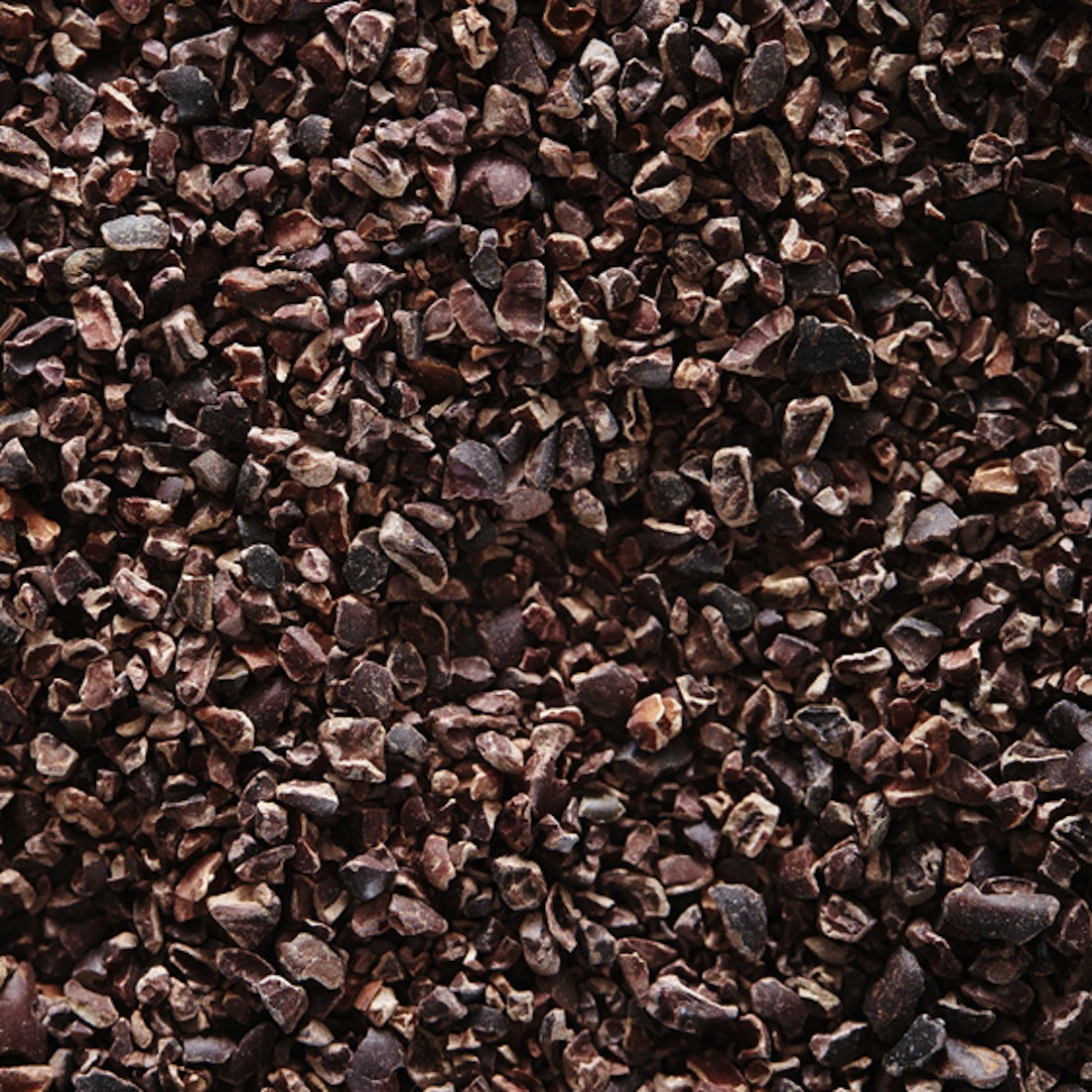 Cacao nibs 