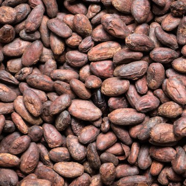 Cacaobonen biologisch