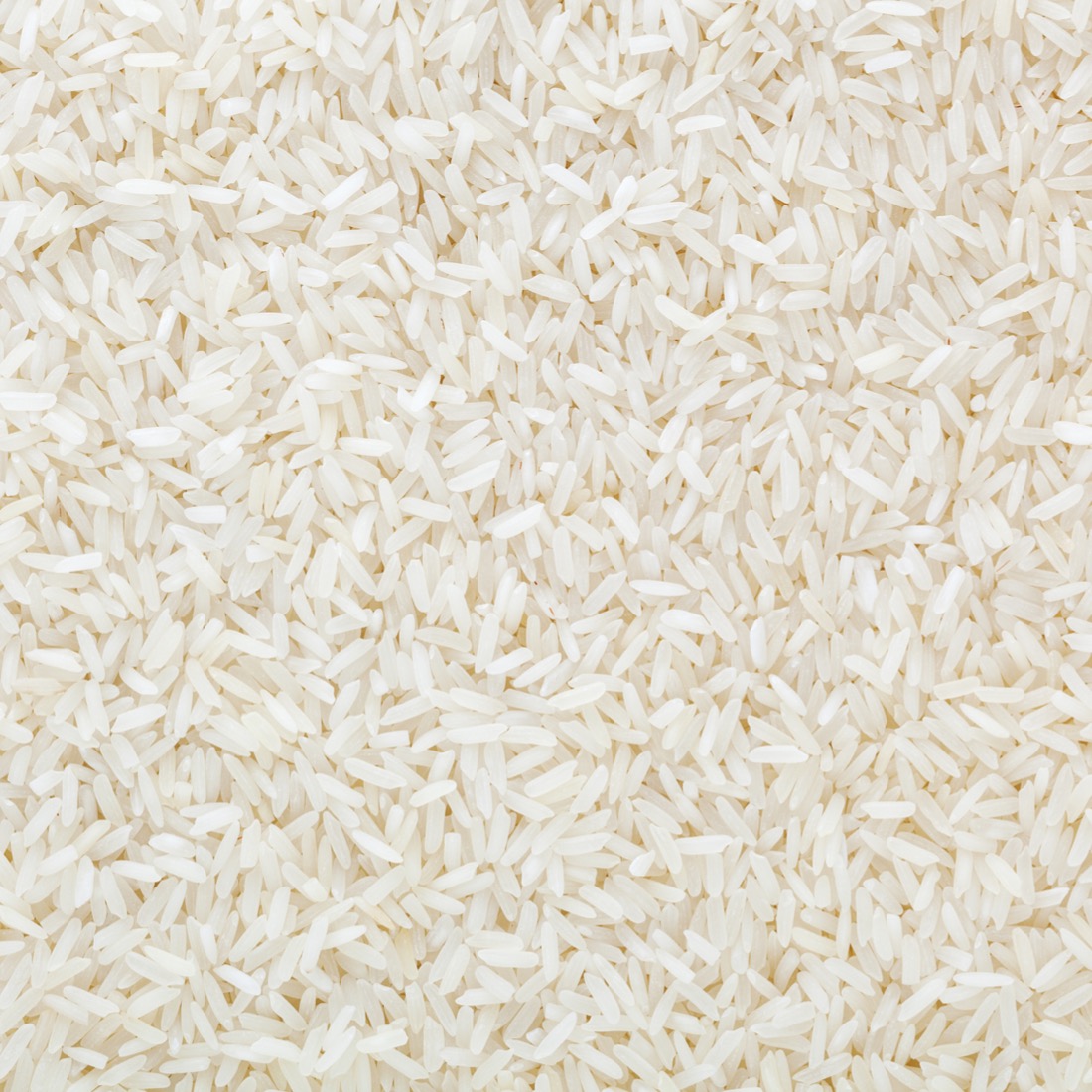 Basmati rijst wit bio 5 kg