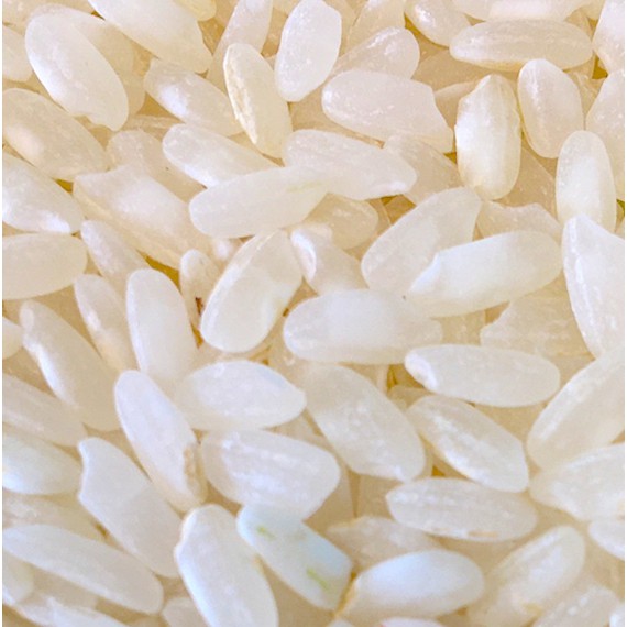 Risotto rijst bio